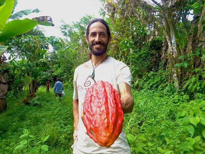 Sky with chocolate pod in Ecuador