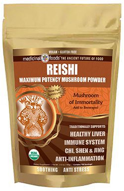 reishi mushroom powder certified organic