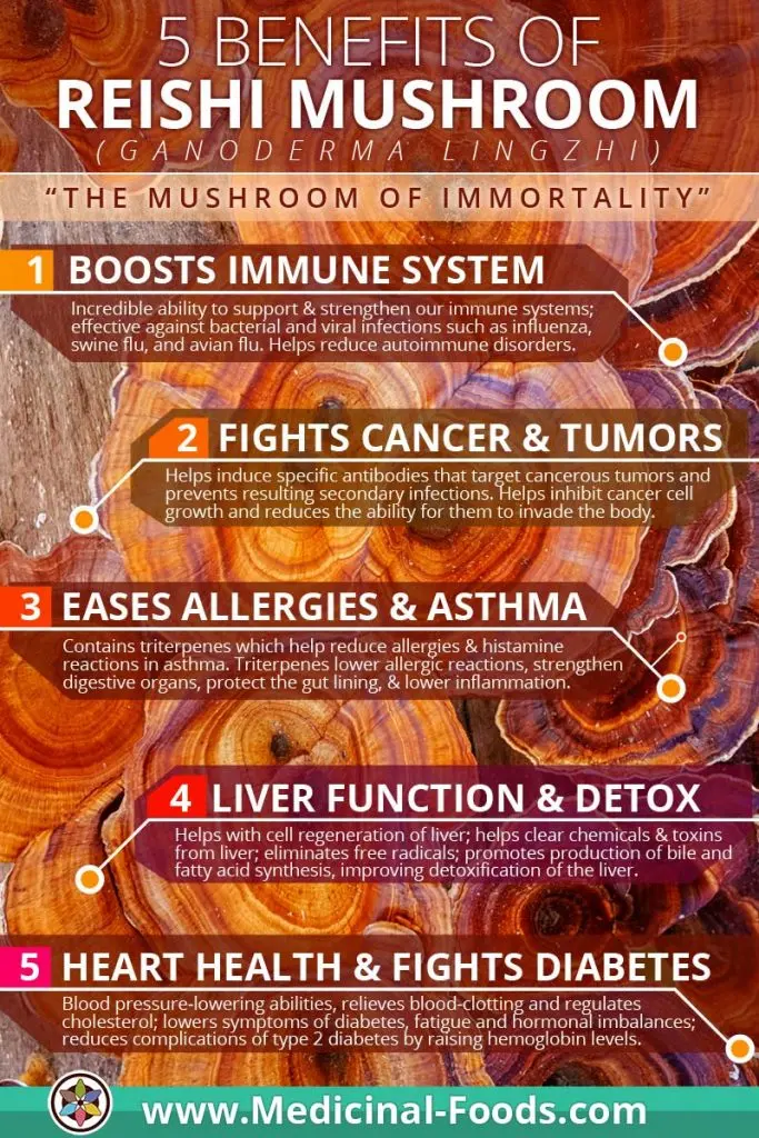 Reishi Mushroom Immunity Infographic Medicinal Foods