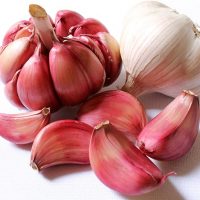 Garlic Liver Detox Flavinoids Sulfates