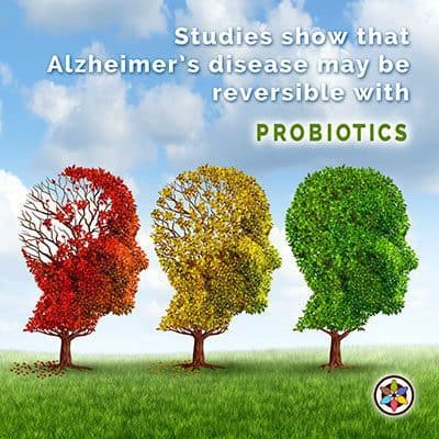 Reversing Alzheimers Gut Bacteria Probiotics