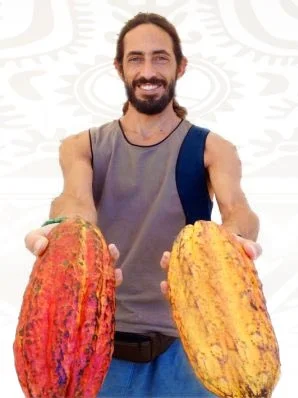 Sky Kubby Fresh Cacao Pods