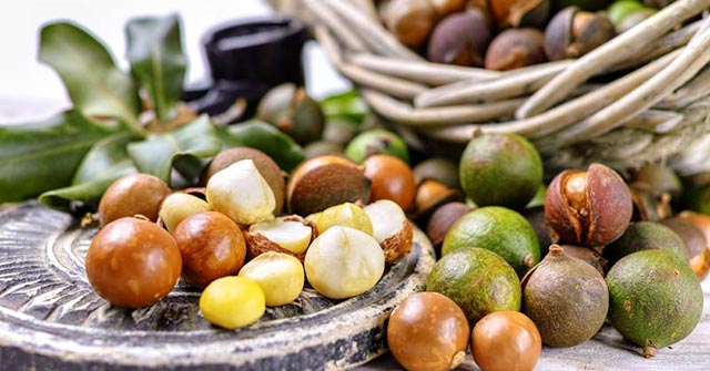 Macadamia Nuts Stone Ground 