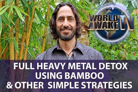 Heavy Metal Detox Bamboo Simple Strategies