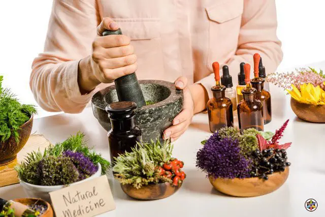 Natural Medicine Alternative Herbs 