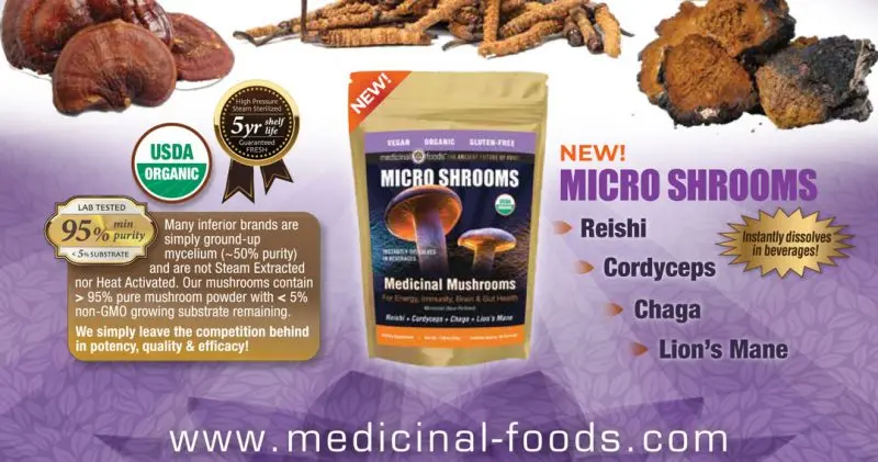 Micro Shrooms Benefits New Medicnal Foods