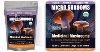 Micro Shrooms Micronized Medicinal Mushroom Blend