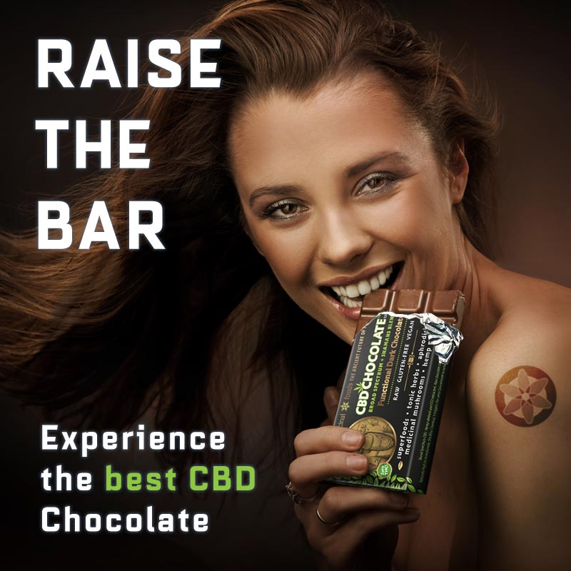 Raw Chocolate Cbd Raise Bar Medicinal Foods