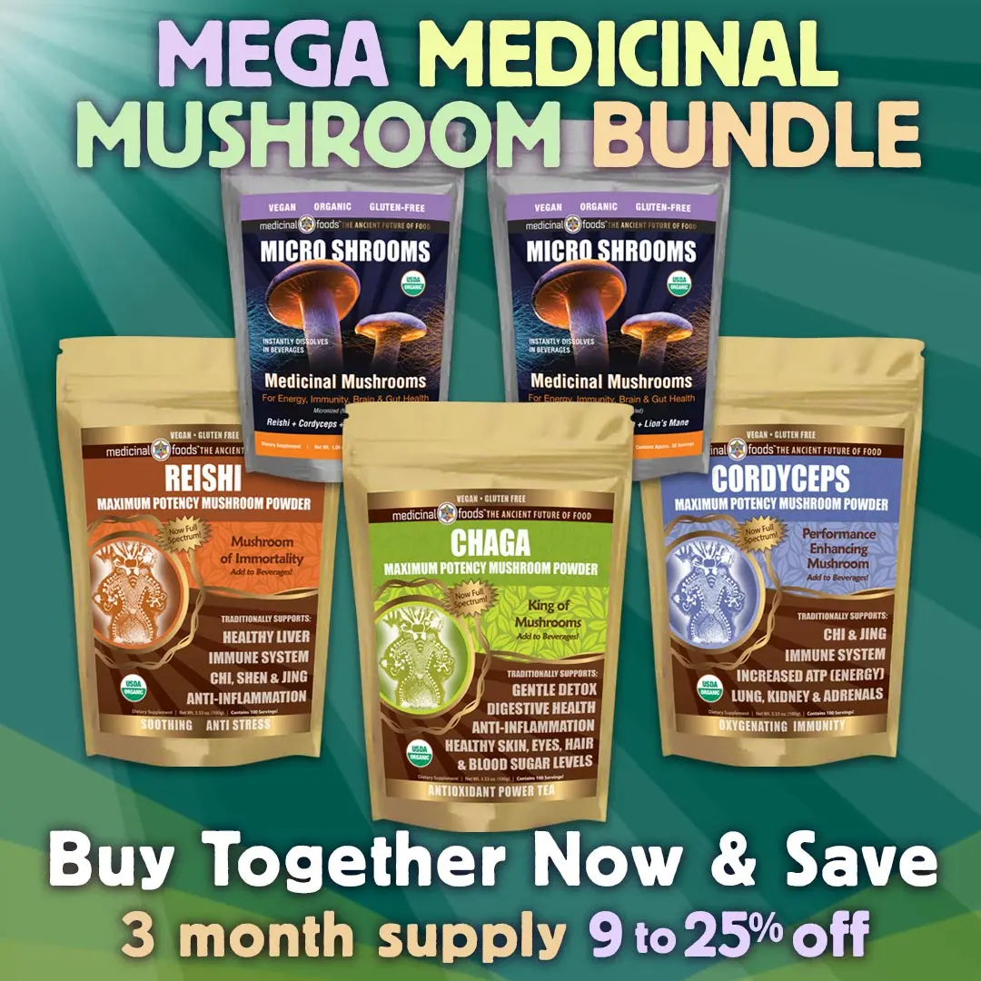 Mega Mushroom Superfood Powder Blend