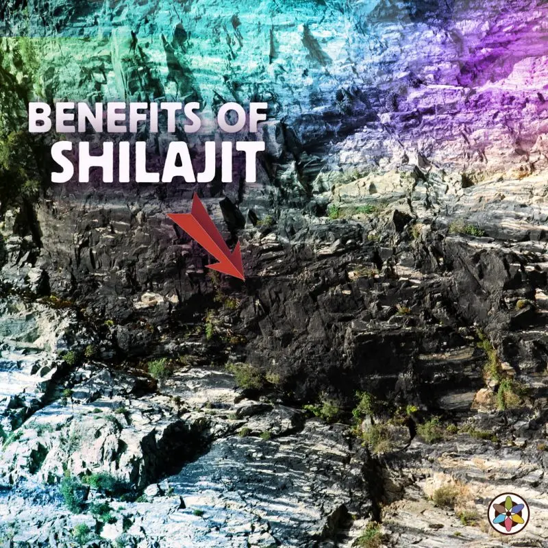 Shilajit Oozing Mountain Rock 