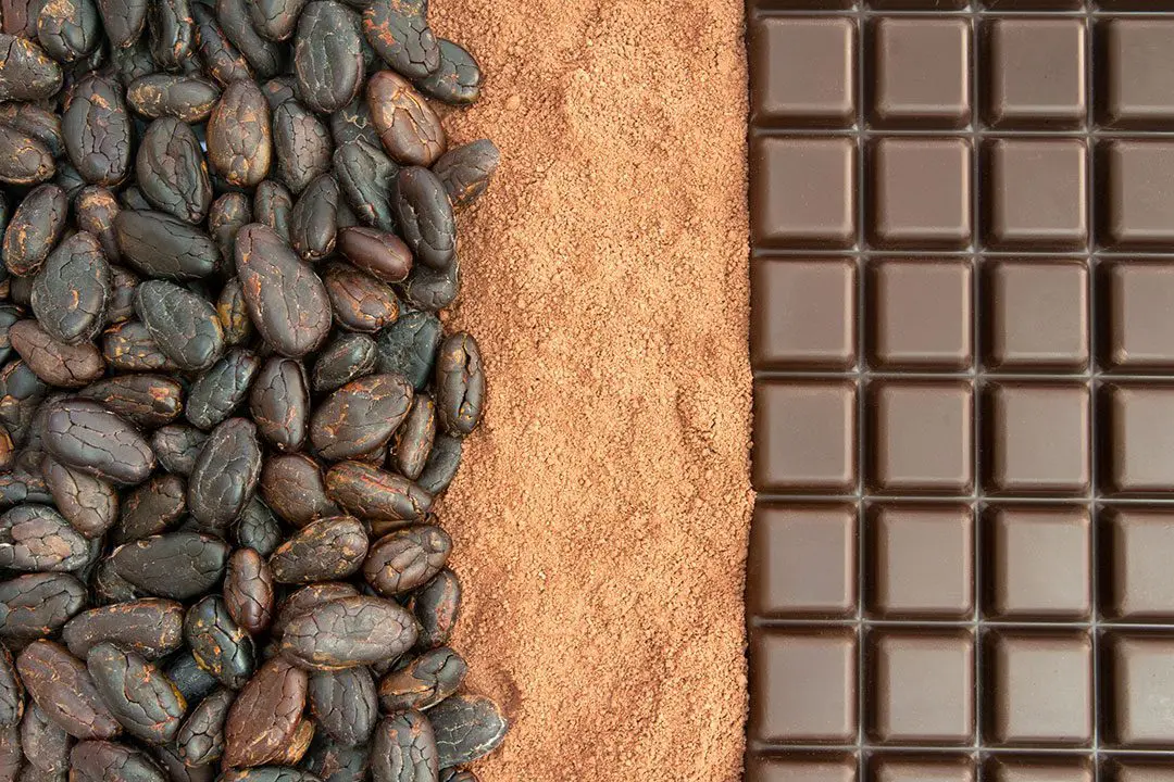 Organic Cacao Powder Highest Quality at Medicinal-Foods.com