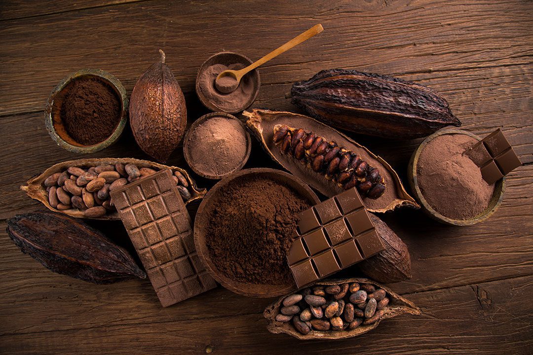 Cacao Vs Cocoa Powder Bars Beans