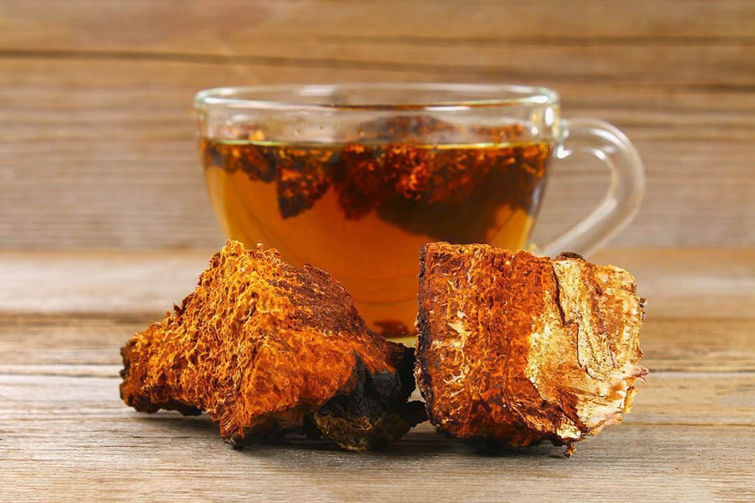 Chaga Tea Powder, Mushroom Coffee Alternative