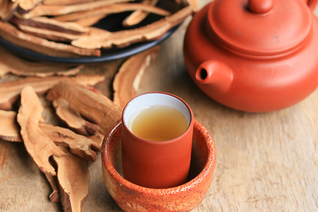 Red Reishi Hot Teapot