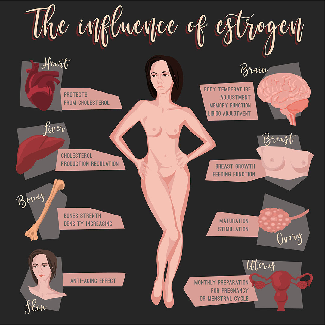 Estrogen Woman Infographic Body Effects Hormone
