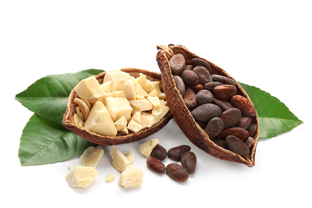 Cacao Pods Beans Butter