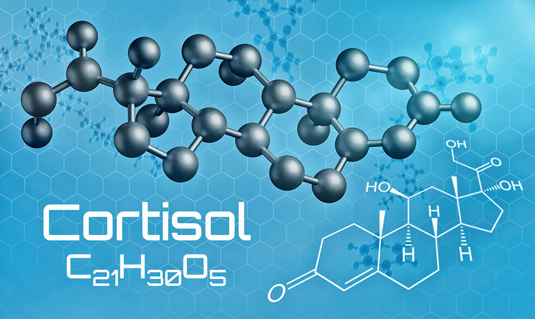 Cortisol Molecule Graphic