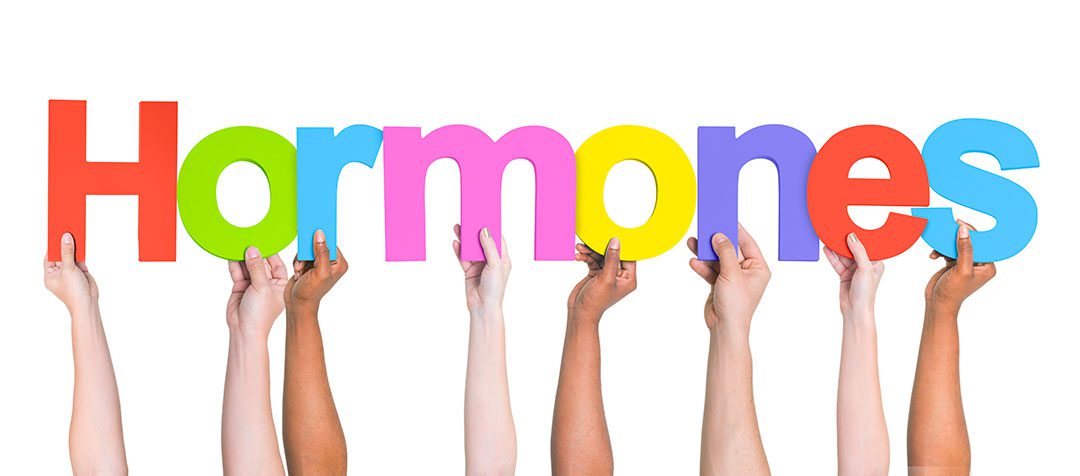Hormones Hands Holding Letters