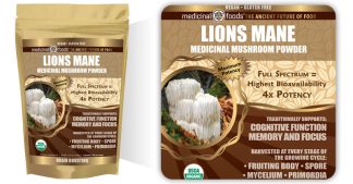 Lions Mane Mushroom Powder Nootropic