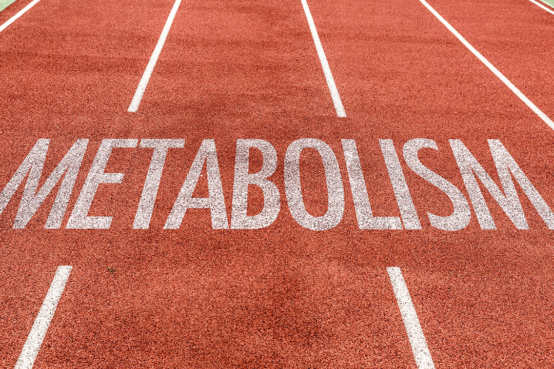 Metabolism Hormones Track