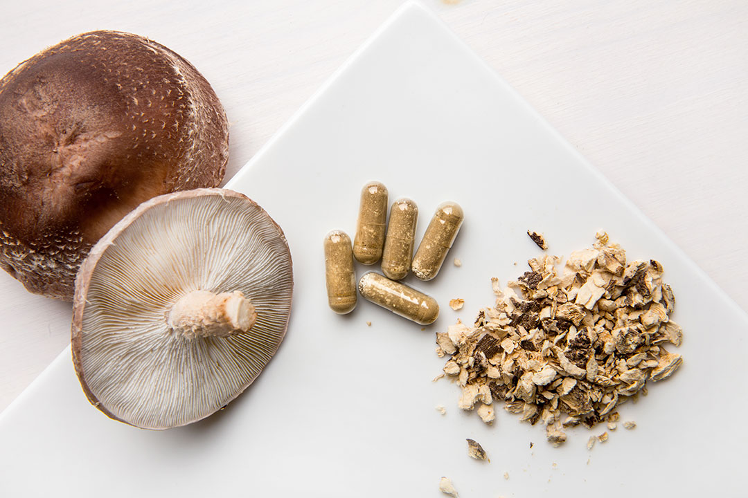 Mushroom Supplement Powder Shitake Capsules