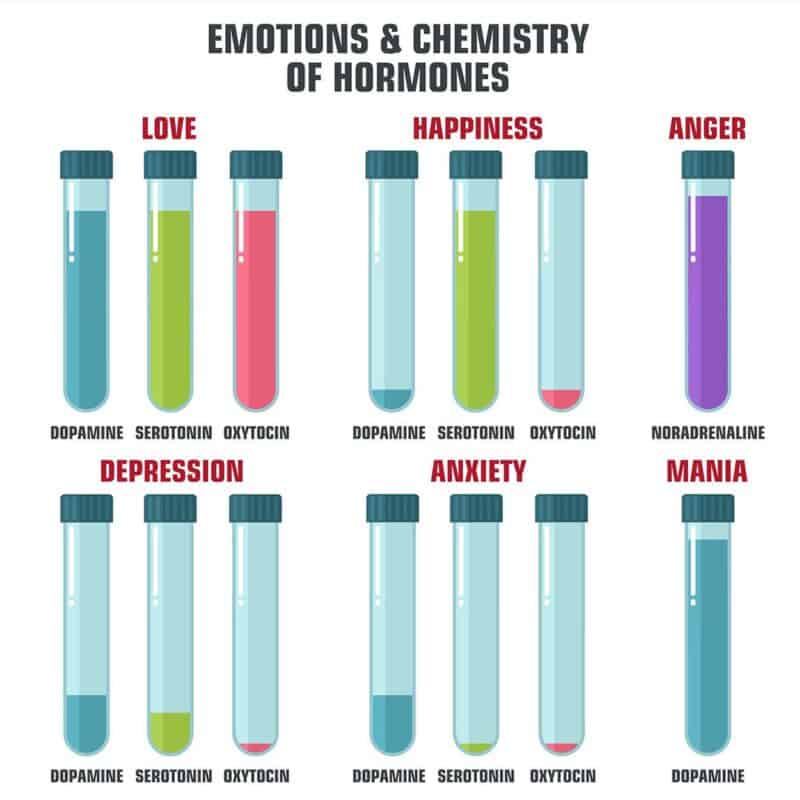 Гормоны чувств. Гормоны и эмоции в пробирках. Эмоции и гормоны взаимосвязь. Химия эмоций. Гормоны и чувства.