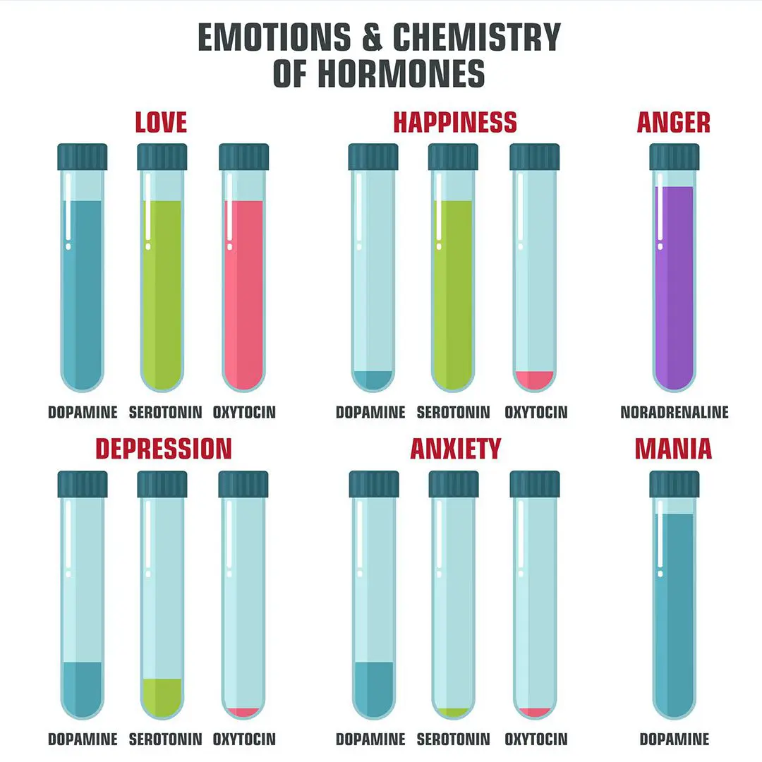 Emotions and Chemistry of Hormones Chart