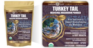 Turkey Tail Mushroom Powder Immunity