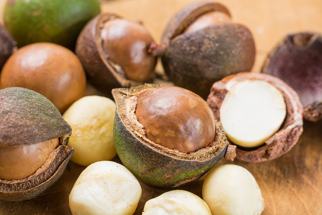 Organic Fresh Hawaiian Macadamia Nuts