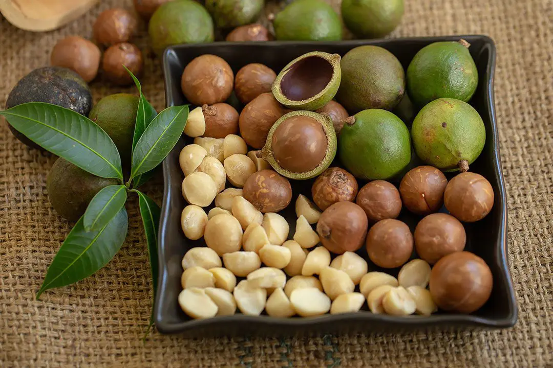 Organic Hawaiian Macadamia Nuts