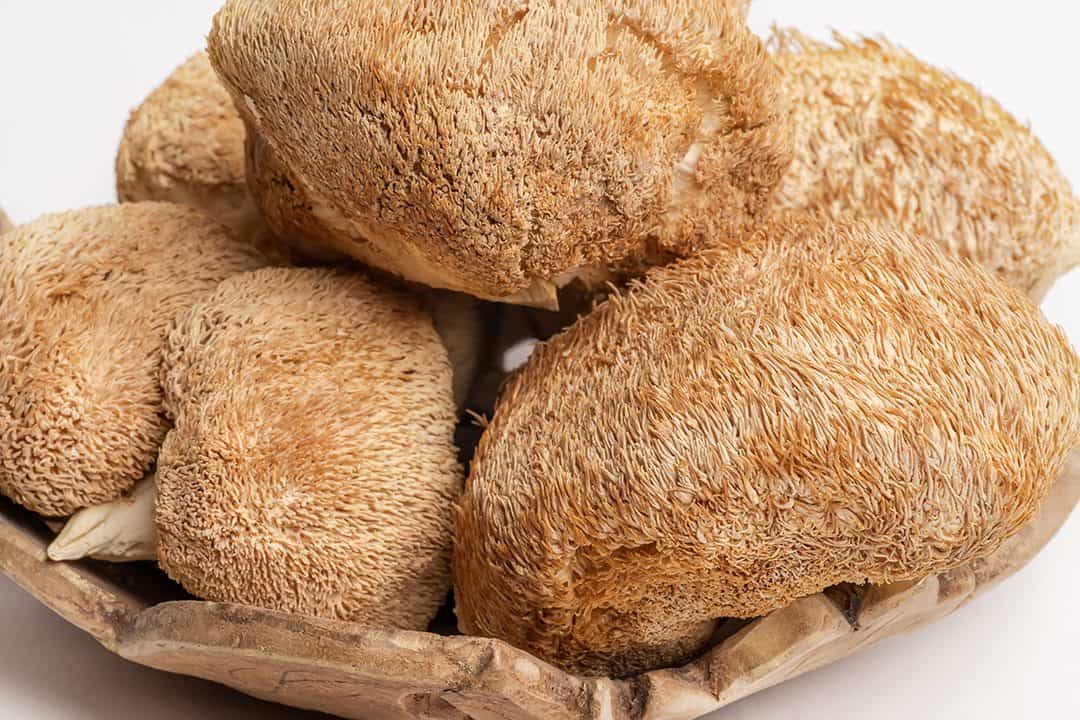 Lions Mane Powder for Brain Health