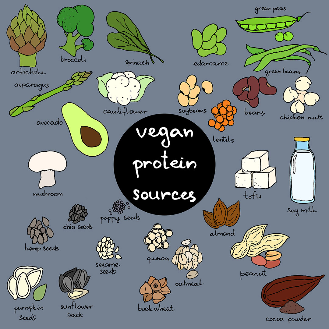 Vegan Protein Guide With Seeds