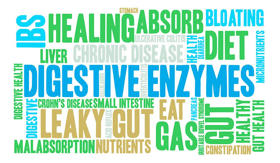 Digestive Enzymes Wordplay