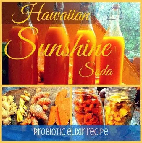 probiotic soda from hawaii