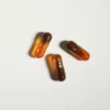 ParaX™ Parasite Cleanser and Comprehensive Gut Microbiome Rebalancer