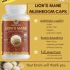 Lion’s Mane Caps, Full Spectrum Highest  Potency